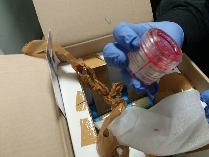 Συνελήφθη γυναίκα στο αεροδρόμιο «Μακεδονία» για παράνομο εμπόριο οργάνων [εικόνες] | iefimerida.gr 1