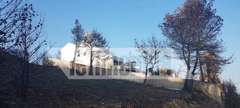 Ολα κάηκαν σε Μάτι Μαραθώνα, το σπίτι του Ηλία Ψινάκη πάντως δεν έπαθε τίποτα...