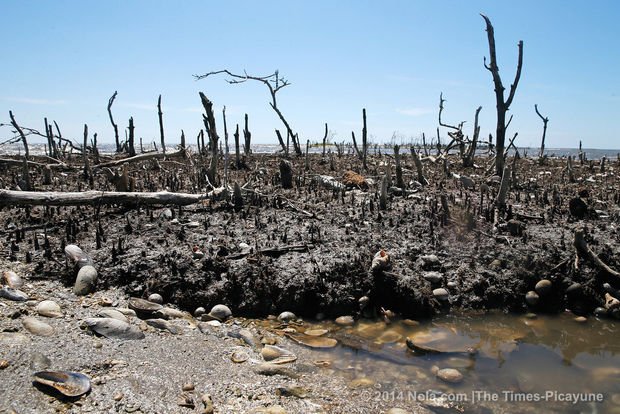 Η πετρελαιοκηλίδα στον κόλπο του Μεξικού εξαφάνισε ολόκληρο νησί [βίντεο] | iefimerida.gr 4