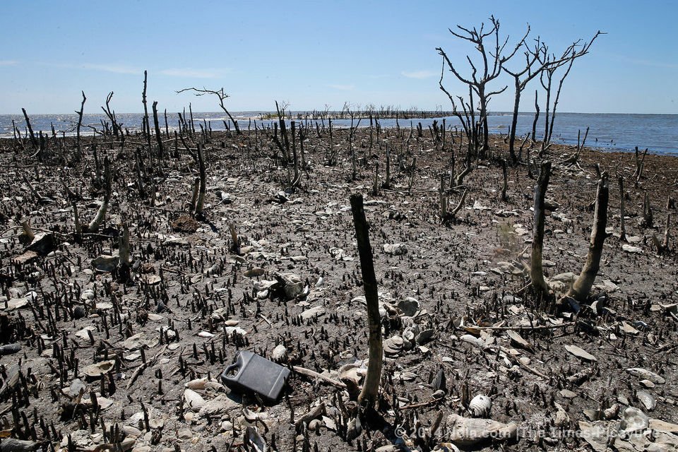 Η πετρελαιοκηλίδα στον κόλπο του Μεξικού εξαφάνισε ολόκληρο νησί [βίντεο] | iefimerida.gr 5