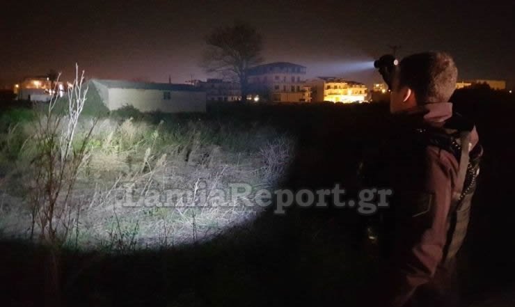 Λαμία: Κυνηγούσαν... άλογα μέσα στην πόλη! [εικόνες] | iefimerida.gr 6