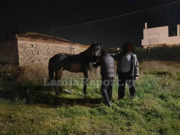 Λαμία: Κυνηγούσαν... άλογα μέσα στην πόλη! [εικόνες] | iefimerida.gr 3