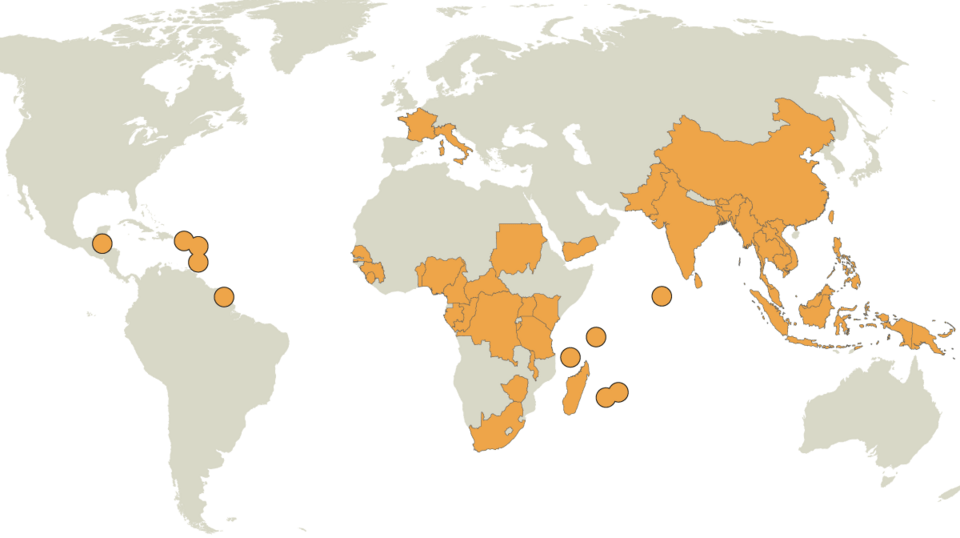 NYT: Επώδυνος ιός από την Ασία «ταξίδεψε», μέσα σε δύο μήνες, από το ένα ημισφαίριο στο άλλο [εικόνα] | iefimerida.gr 0