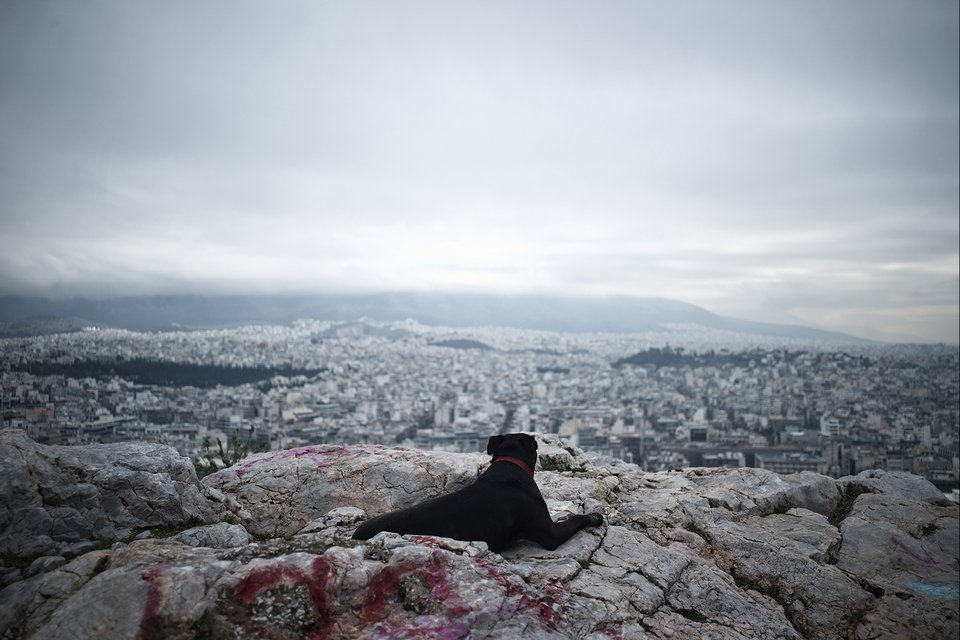 Εκρηξη εκθέσεων από το Μουσείο Μπενάκη ως το τέλος του χρόνου: Ελ Γκρέκο, μόδα, Λόρδος Βύρωνας, σύγχρονη τέχνη και κρίση [εικόνες] | iefimerida.gr 8