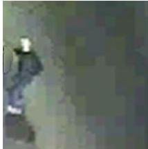 Φωτογραφίες ντοκουμέντο του εκτελεστή που σκότωσε τους δύο Χρυσαυγίτες [εικόνες] | iefimerida.gr 2