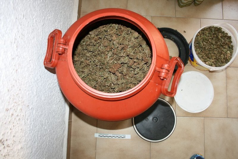 Κρήτη: Συνελήφθη 32χρονος για κατοχή ναρκωτικών -Με μεγάλη ποσότητα κάνναβης [εικόνες] | iefimerida.gr 1