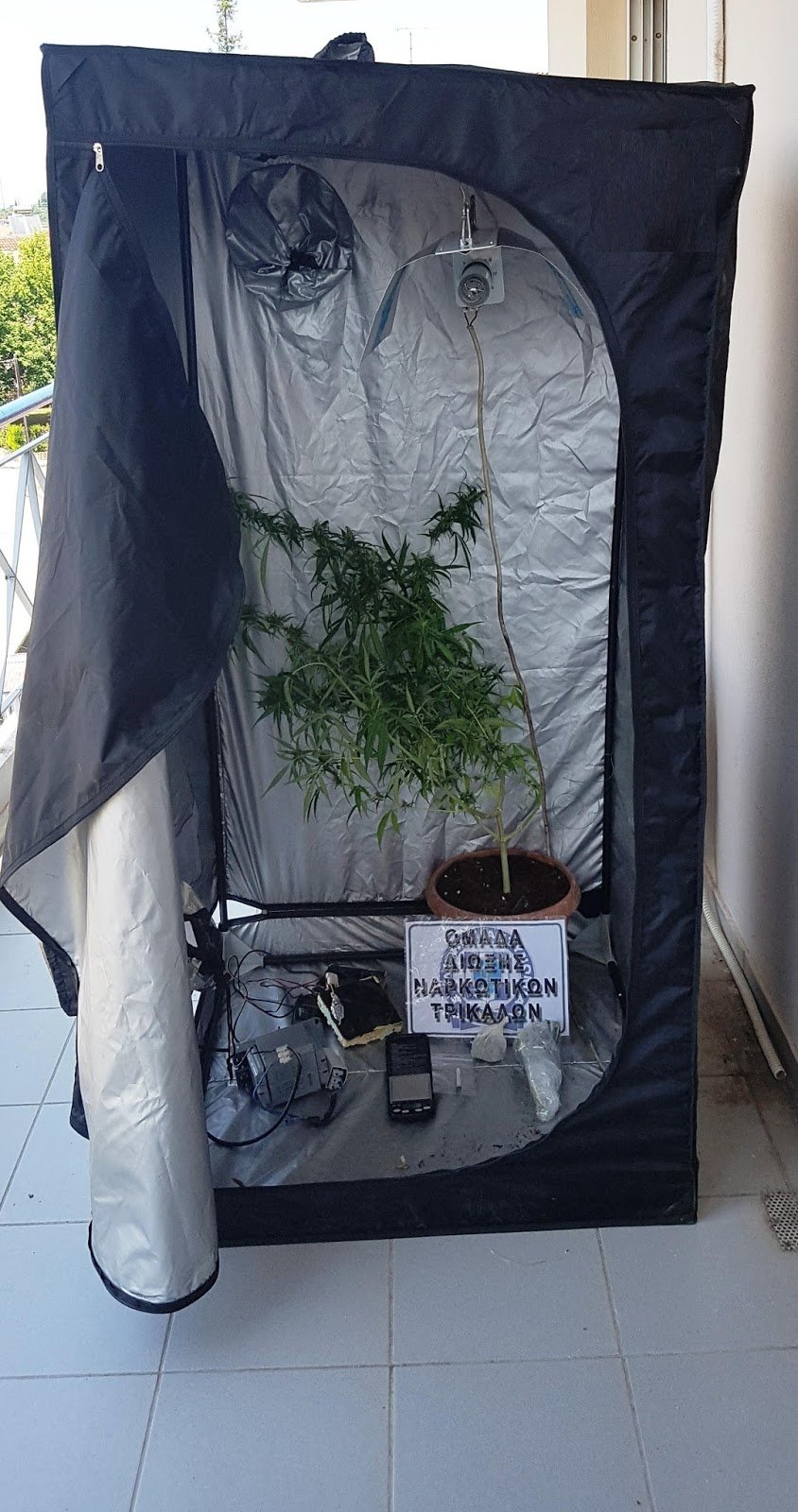 Τρίκαλα: 33χρονος καλλιεργούσε χασίς σε αντίσκηνο στη... βεράντα του [εικόνα] | iefimerida.gr 0