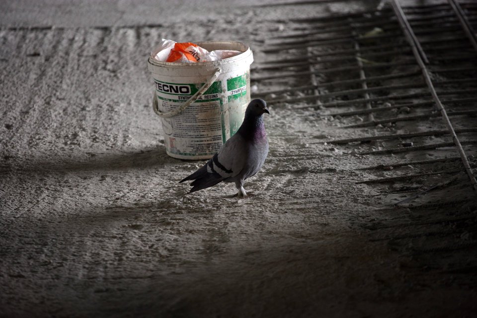 H μαγική εικόνα της Αθήνας: Σκηνές από τις εξελίξεις των εργασιών στο Φιξ στη Συγγρού – Η νέα θέα από την ταράτσα [εικόνες] | iefimerida.gr 5