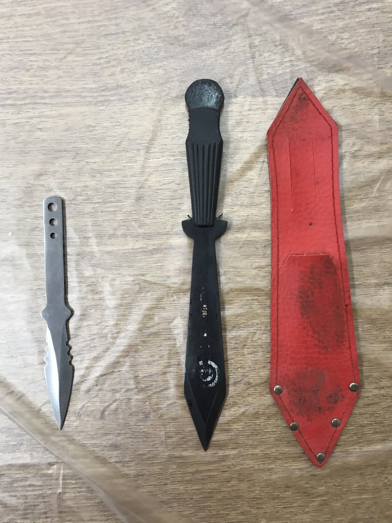 Τι βρέθηκε στα σπίτια των νεοναζιστών της Combat 18: Σβάστικες, βιβλία του Χίτλερ, εκρηκτικά [εικόνες] | iefimerida.gr 8