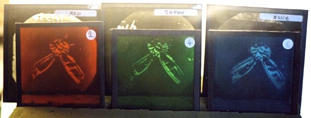 Ο φυσικός που τράβηξε την πρώτη έγχρωμη φωτογραφία και έγινε είδωλο του Αϊνστάιν [εικόνες] | iefimerida.gr 1