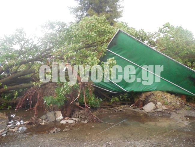 Αγρίνιο: Ξηλώθηκαν στέγες, ξεριζώθηκαν δέντρα -Τρελάθηκε ο καιρός αυγουστιάτικα [εικόνες & βίντεο] | iefimerida.gr 3
