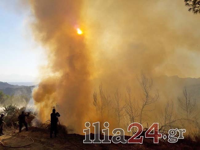 Δύσκολη νύχτα στην Ηλεία -Εκτός ελέγχου η πυρκαγιά στη Δαφνιώτισσα [εικόνες & βίντεο] | iefimerida.gr 16