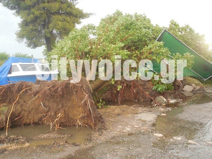 Αγρίνιο: Ξηλώθηκαν στέγες, ξεριζώθηκαν δέντρα -Τρελάθηκε ο καιρός αυγουστιάτικα [εικόνες & βίντεο] | iefimerida.gr 2