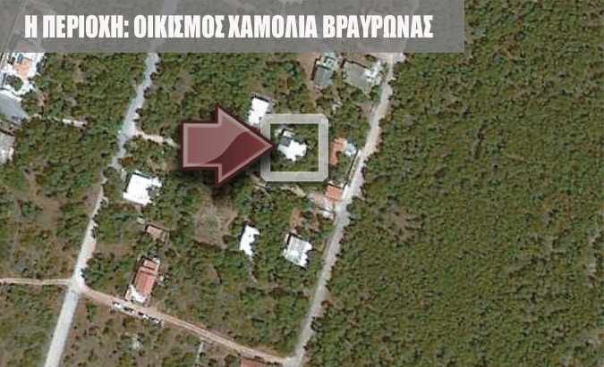 Αυθαίρετο σε αναδασωτέα περιοχή έχει ο Παπακωνσταντίνου | iefimerida.gr 0