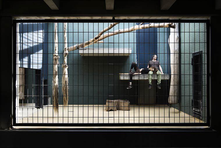 Ζωολογικός κήπος με ανθρώπους: Η φωτογράφιση που σοκάρει [εικόνες] | iefimerida.gr 1