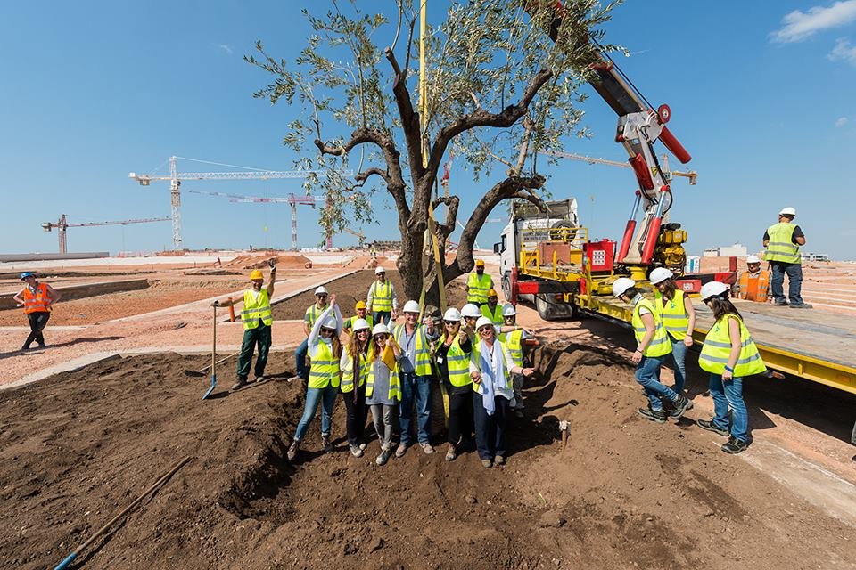 Είναι μαγικό: Αρχισαν να μεταφέρονται τα δέντρα που θα θριαμβεύσουν στο Κέντρο Πολιτισμού Ιδρυμα Σταύρος Νιάρχος [εικόνες] | iefimerida.gr 3