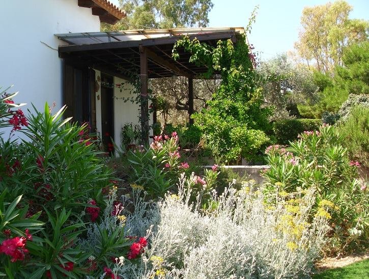 Η Μαργαρίτα Παπανδρέου όπως δεν την έχουμε ξαναδεί: Ενα πρωί στο υπέροχο κτήμα της [εικόνες] | iefimerida.gr 3