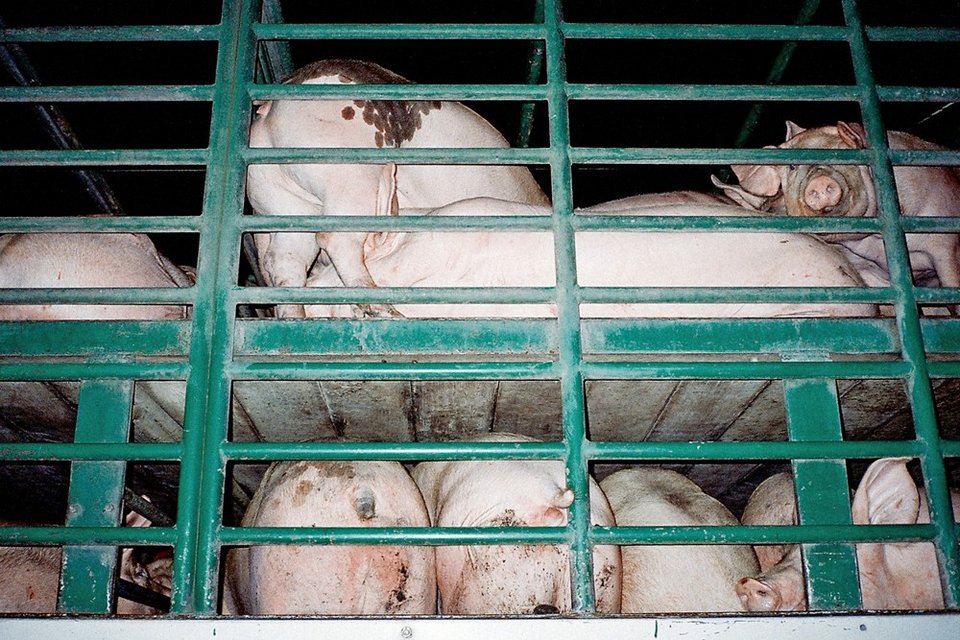 To παγκοσμίως αναγνωρισμένο περιοδικό Dazed & Confused επιλέγει τα καλύτερα photo books για το 2013 [εικόνες] | iefimerida.gr 0