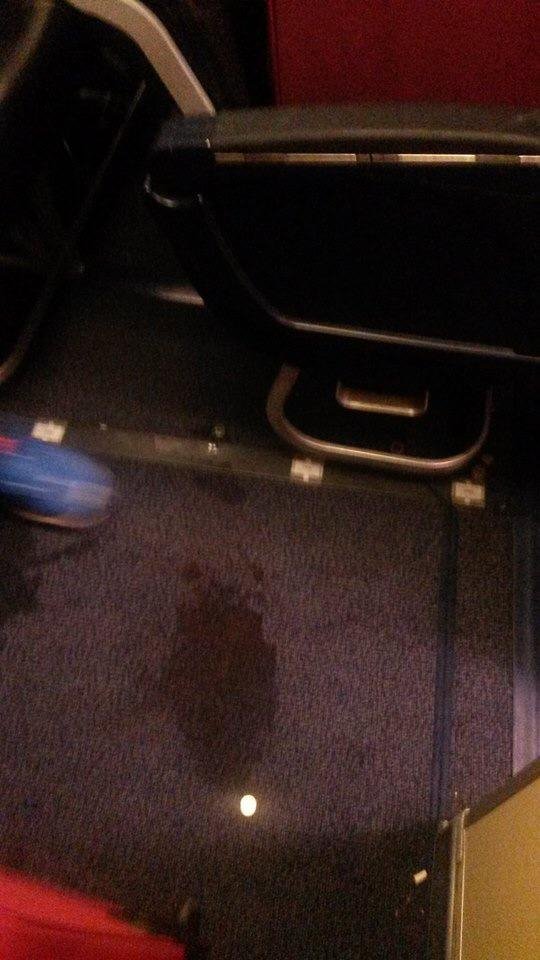 Πανικός στον αέρα: Συμπλοκή σε αεροσκάφος της Ryanair – Αναγκαστική προσγείωση στο Ελευθέριος Βενιζέλος [εικόνα] | iefimerida.gr 0