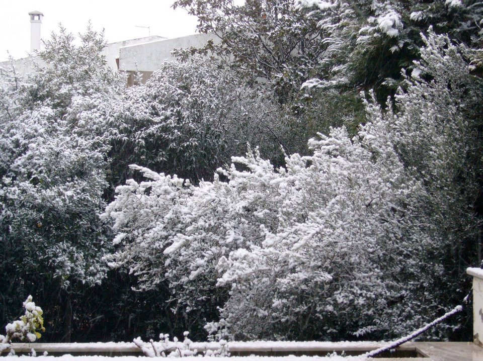 H ανάρτηση της Βέφας Αλεξιάδου στο Facebook μετά το θάνατο της 2ης κόρης της -Οι φωτογραφίες που πόσταρε [εικόνες] | iefimerida.gr 4