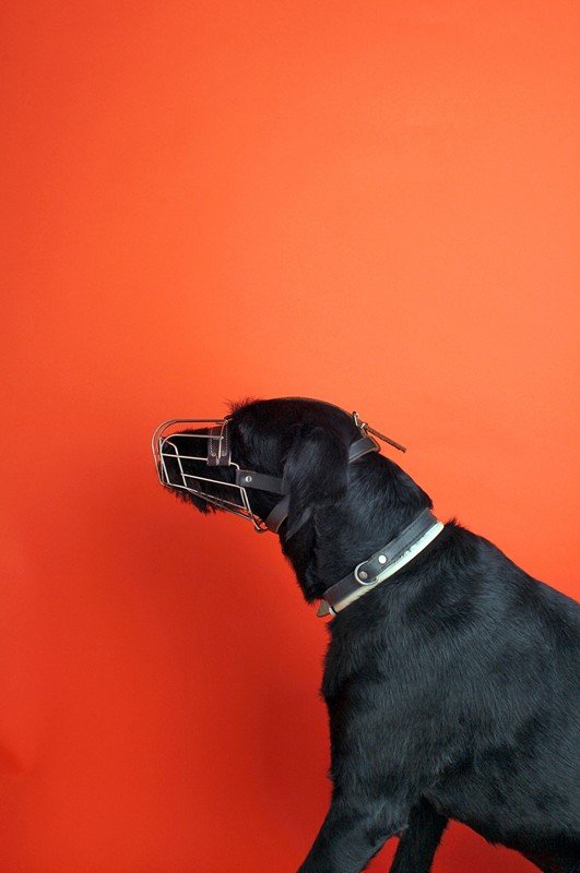 Η κρυφή ζωή των καθημερινών αντικειμένων - Ένας ύμνος στο ντιζάιν [εικόνες] | iefimerida.gr 10