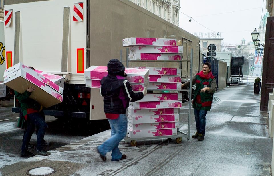 Ετοιμάζοντας τη μεγαλειώδη συναυλία της Πρωτοχρονιάς στη Βιέννη -Χιλιάδες λουλούδια, πρόβες, ο Μέτα [εικόνες] | iefimerida.gr 7