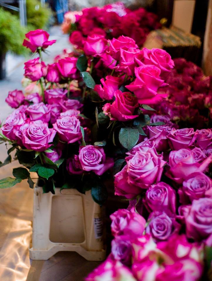 Ετοιμάζοντας τη μεγαλειώδη συναυλία της Πρωτοχρονιάς στη Βιέννη -Χιλιάδες λουλούδια, πρόβες, ο Μέτα [εικόνες] | iefimerida.gr 0