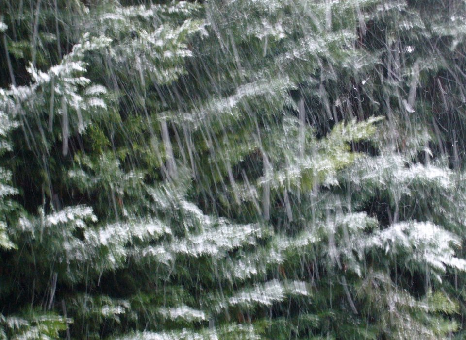 H ανάρτηση της Βέφας Αλεξιάδου στο Facebook μετά το θάνατο της 2ης κόρης της -Οι φωτογραφίες που πόσταρε [εικόνες] | iefimerida.gr 1