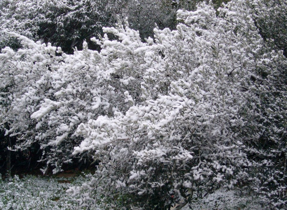 H ανάρτηση της Βέφας Αλεξιάδου στο Facebook μετά το θάνατο της 2ης κόρης της -Οι φωτογραφίες που πόσταρε [εικόνες] | iefimerida.gr 3