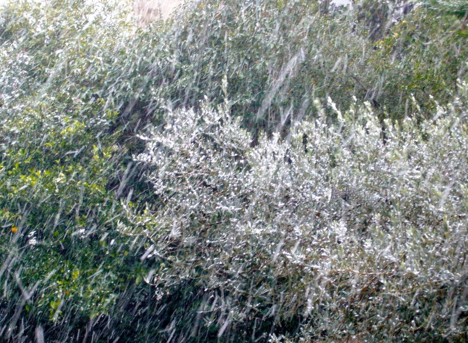 H ανάρτηση της Βέφας Αλεξιάδου στο Facebook μετά το θάνατο της 2ης κόρης της -Οι φωτογραφίες που πόσταρε [εικόνες] | iefimerida.gr 2