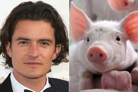 Τι φοβούνται οι διασημότητες -Από βατράχους και πεταλούδες μέχρι πόμολα και ελιές [εικόνες]  | iefimerida.gr 10