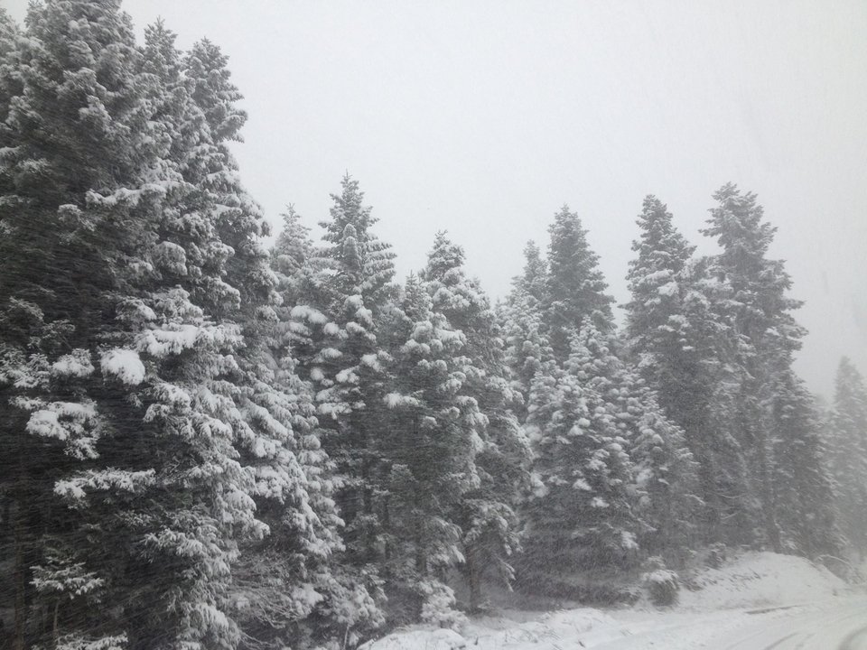 O Κώστας Mπακογιάννης εύχεται «Καλά Χριστούγεννα» και ανεβάζει φωτογραφίες από τα χιόνια σήμερα το πρωί [εικόνες] | iefimerida.gr 0