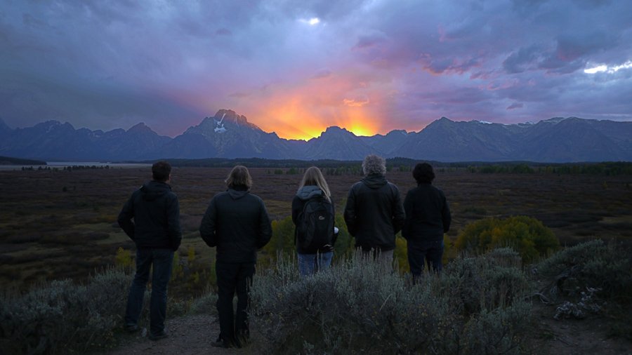 Αρχίζει στην ταινιοθήκη το Πανόραμα Οικολογικών Φιλμ -Για περιβάλλον και διατροφή [πρόγραμμα]  | iefimerida.gr 0