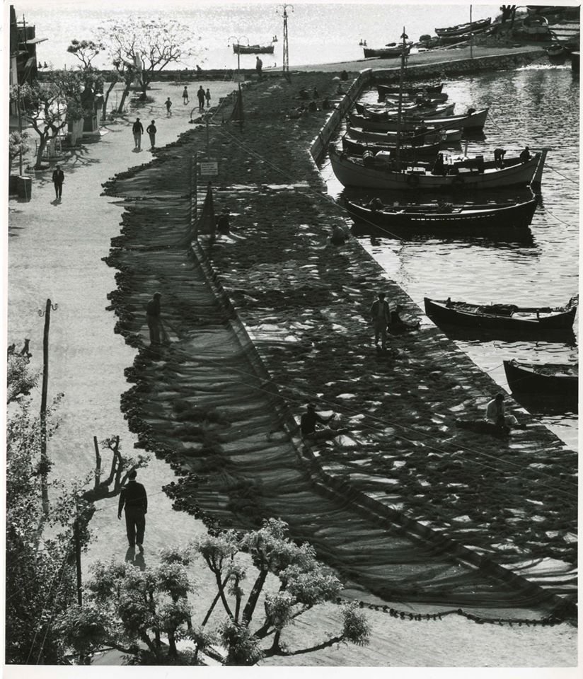 Η  Ελλάδα του '60 στο φακό του κινηματογραφιστή Suschitzky [εικόνες και βίντεο] | iefimerida.gr 2