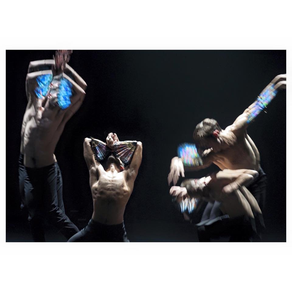 Στο σεισμογενές σώμα-τοπίο «Wisteria Maiden» του Αντώνη Φωνιαδάκη [εικόνες] | iefimerida.gr 3