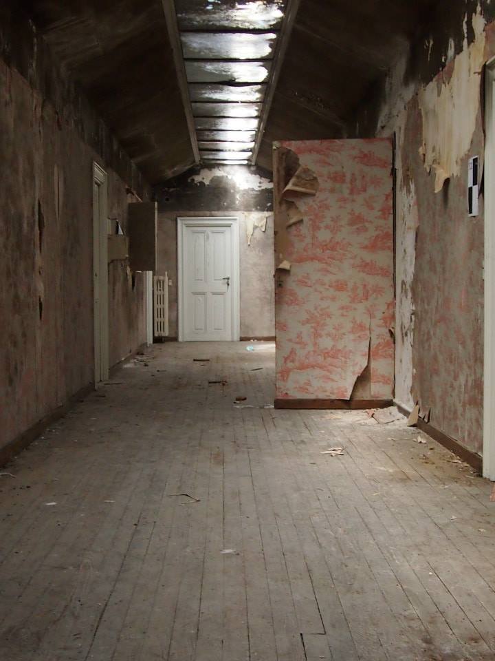 Αγωνία για το υπέροχο κτήμα Τατοΐου: Ο σύλλογος φίλων σχολιάζει την επίσκεψη του αναπληρωτή υπουργού [εικόνες] | iefimerida.gr 3