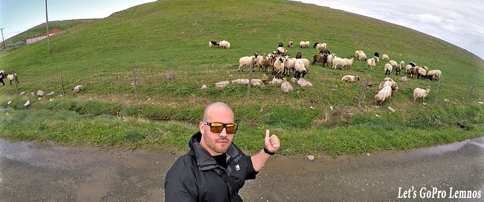 H selfie από τη Λήμνο που ξεπερνά κάθε  φαντασία -«Προβατοselfie» [εικόνες] | iefimerida.gr 1