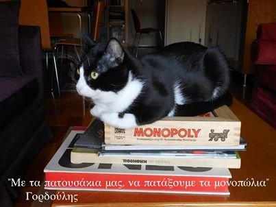 Γορδούλης: Αυτός ο γάτος είναι υποψήφιος δήμαρχος Αθήνας και κάνει ήδη θραύση – Μότο του «ζήσε και άσε τους άλλους να γαβγίζουν» [εικόνες] | iefimerida.gr 5