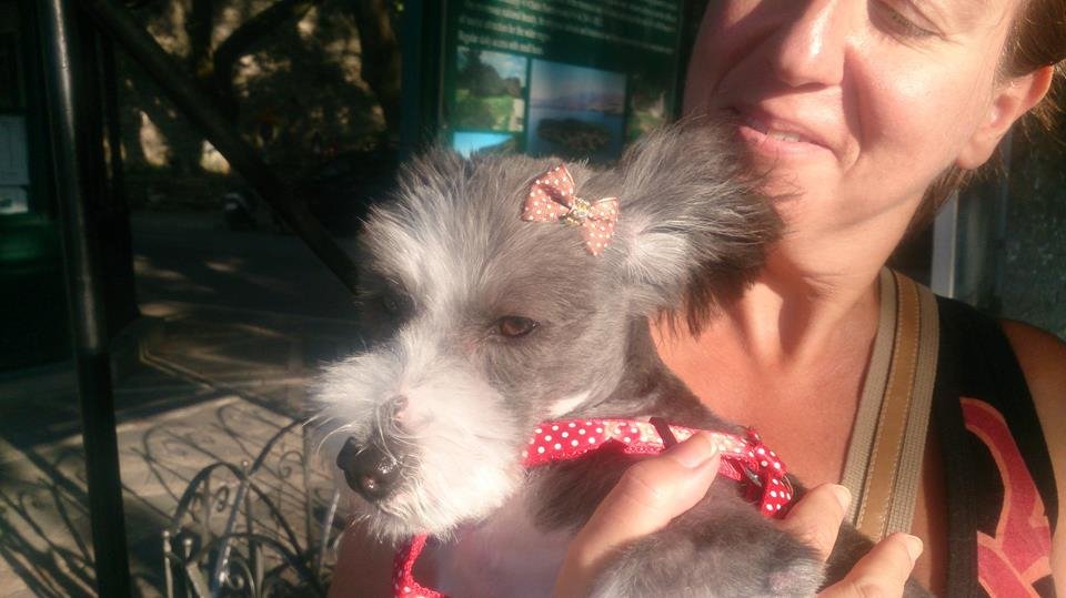 Αίσιο τέλος για το «Χάτσικο» των Ιωαννίνων -Βρήκε νέα οικογένεια [εικόνες] | iefimerida.gr 3