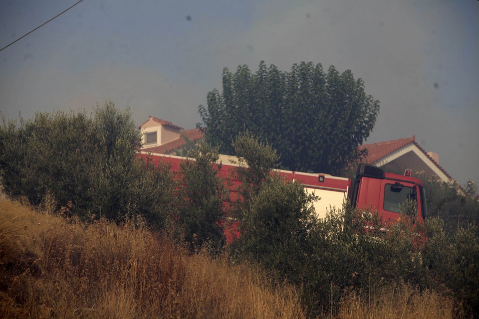 Η μάχη με τις φλόγες που έδωσαν κάτοικοι και πυροσβεστική στο Μαρκόπουλο μέσα από εικόνες | iefimerida.gr 6