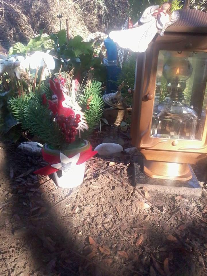 «Ο Χριστουγεννιάτικος κήπος σου» - Οι φίλοι του Βαγγέλη Γιακουμάκη στόλισαν το σημείο που βρέθηκε νεκρός [εικόνες] | iefimerida.gr 2