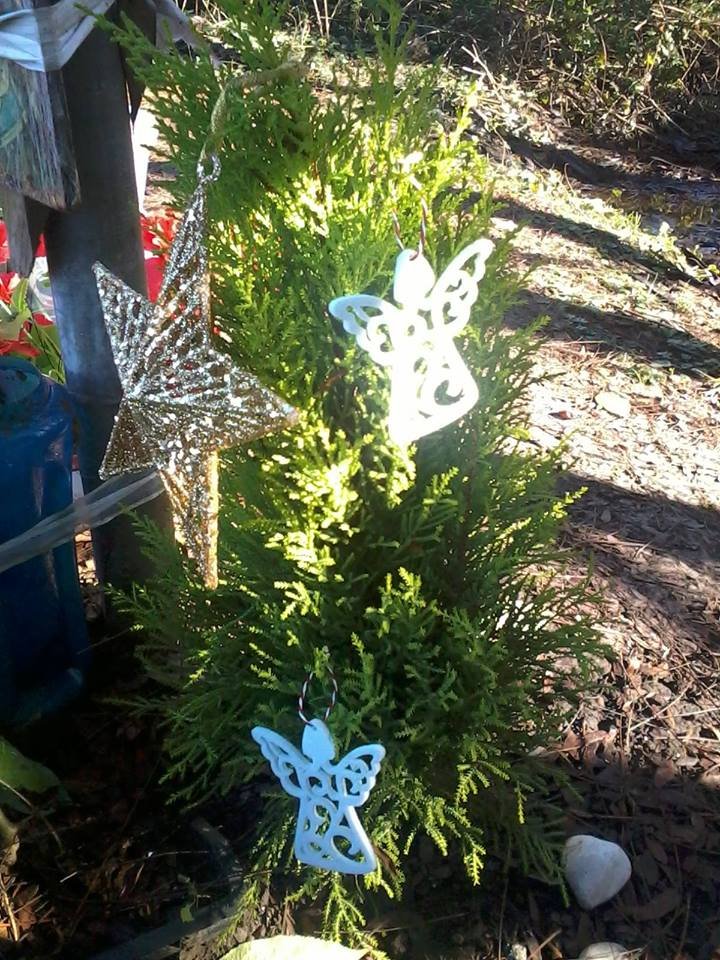 «Ο Χριστουγεννιάτικος κήπος σου» - Οι φίλοι του Βαγγέλη Γιακουμάκη στόλισαν το σημείο που βρέθηκε νεκρός [εικόνες] | iefimerida.gr 3