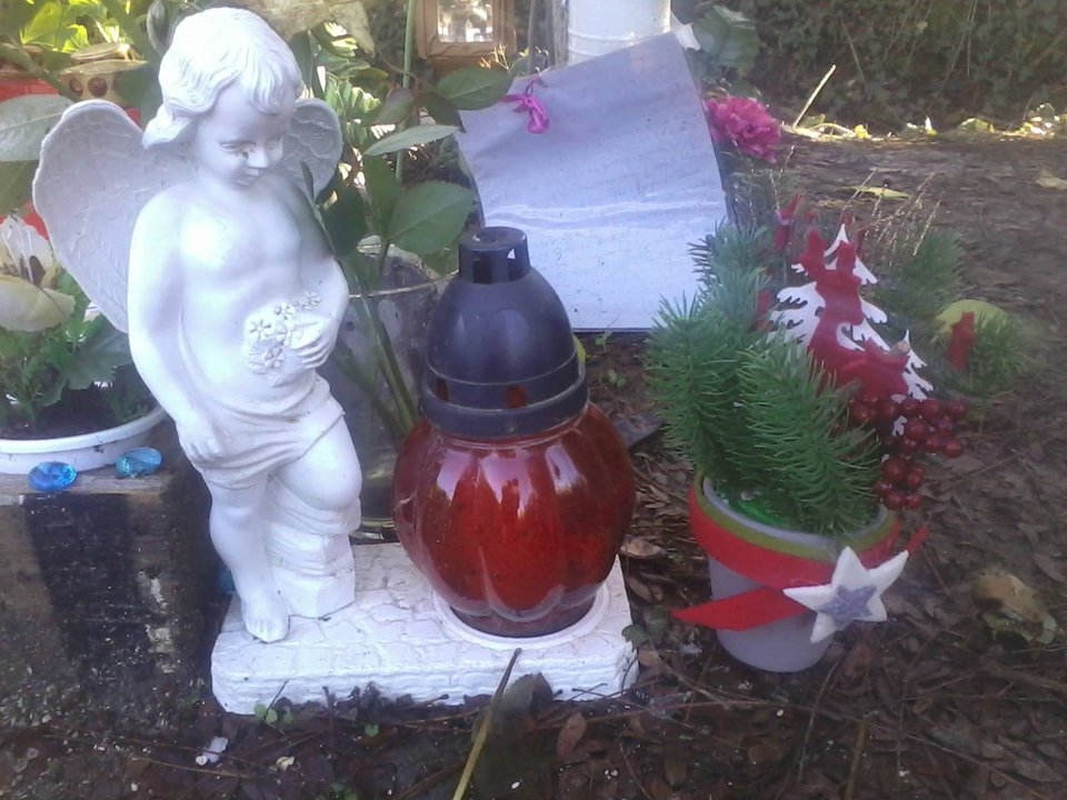 «Ο Χριστουγεννιάτικος κήπος σου» - Οι φίλοι του Βαγγέλη Γιακουμάκη στόλισαν το σημείο που βρέθηκε νεκρός [εικόνες] | iefimerida.gr 4