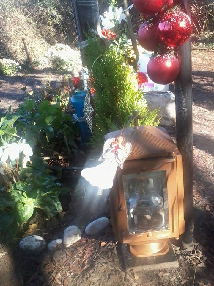 «Ο Χριστουγεννιάτικος κήπος σου» - Οι φίλοι του Βαγγέλη Γιακουμάκη στόλισαν το σημείο που βρέθηκε νεκρός [εικόνες] | iefimerida.gr 1