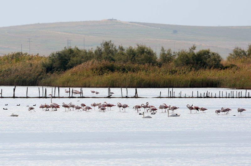 Τα 7 trends του φθινοπώρου -Από το μπορντό χρώμα μέχρι τα κοκτέιλ μπύρας και τον κουρκουμά [εικόνες] | iefimerida.gr 5