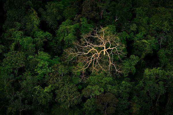 Το 2012 μέσα από φωτογραφίες - Τα σημαντικότερα γεγονότα κάθε μήνα [εικόνες] | iefimerida.gr 11