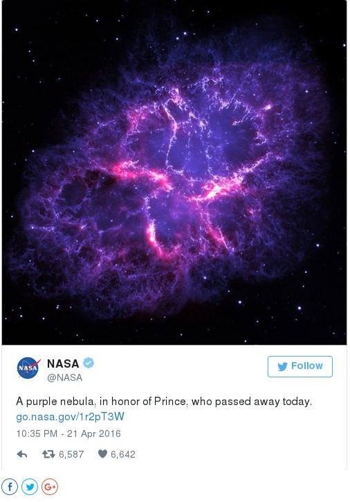 Η Μαντόνα αποχαιρετά τον Prince: Ηταν οραματιστής -Είμαι συντετριμμένη [εικόνες] | iefimerida.gr 8