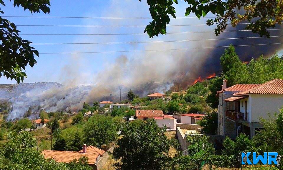 Πυρκαγιά στον Αγιο Ιωάννη Κυνουρίας [εικόνα & βίντεο] | iefimerida.gr 0