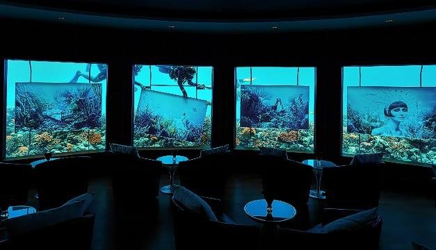 Η τέχνη κάνει βουτιά στο νερό -Υποβρύχια έκθεση ζωγραφικής στις Μαλδίβες [εικόνες] | iefimerida.gr 3