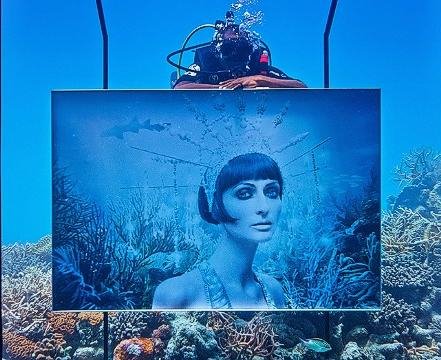 Η τέχνη κάνει βουτιά στο νερό -Υποβρύχια έκθεση ζωγραφικής στις Μαλδίβες [εικόνες] | iefimerida.gr 6